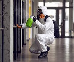 Best Comprehensive Air Testing for Mold Contaminants in Red Lake Falls, MN